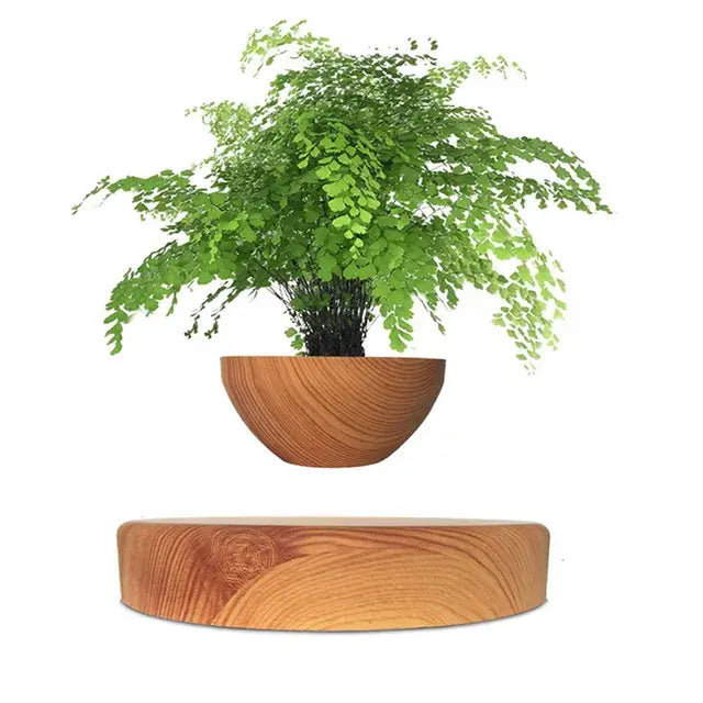 Vaso de Bonsai Magnético Flutuante para Plantadores