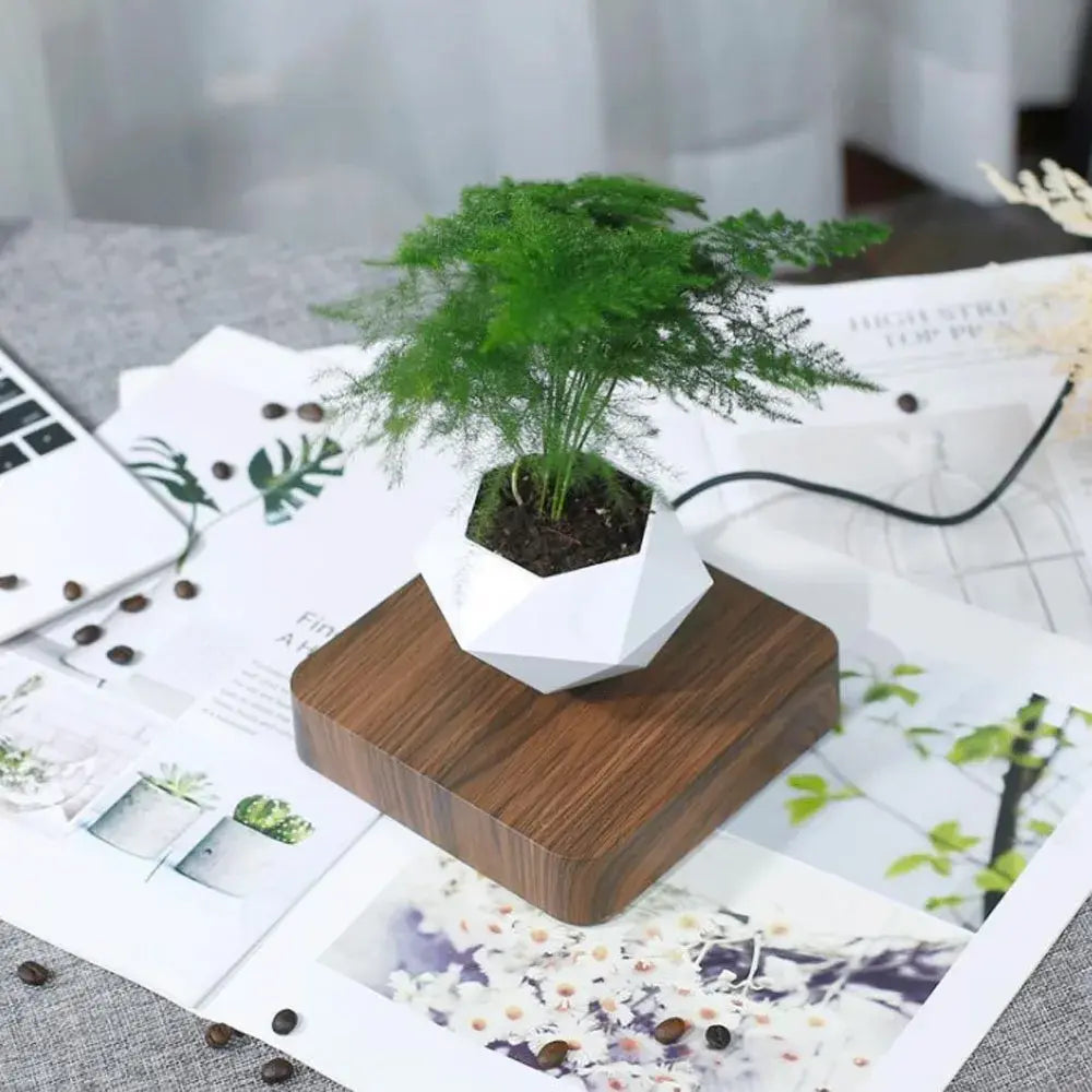 Vaso de Bonsai Magnético Flutuante para Plantadores